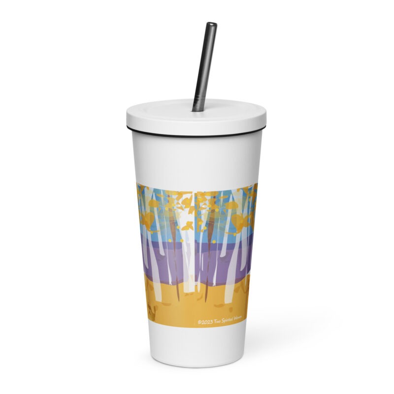 ASPEN - Insulated Tumbler with a Straw