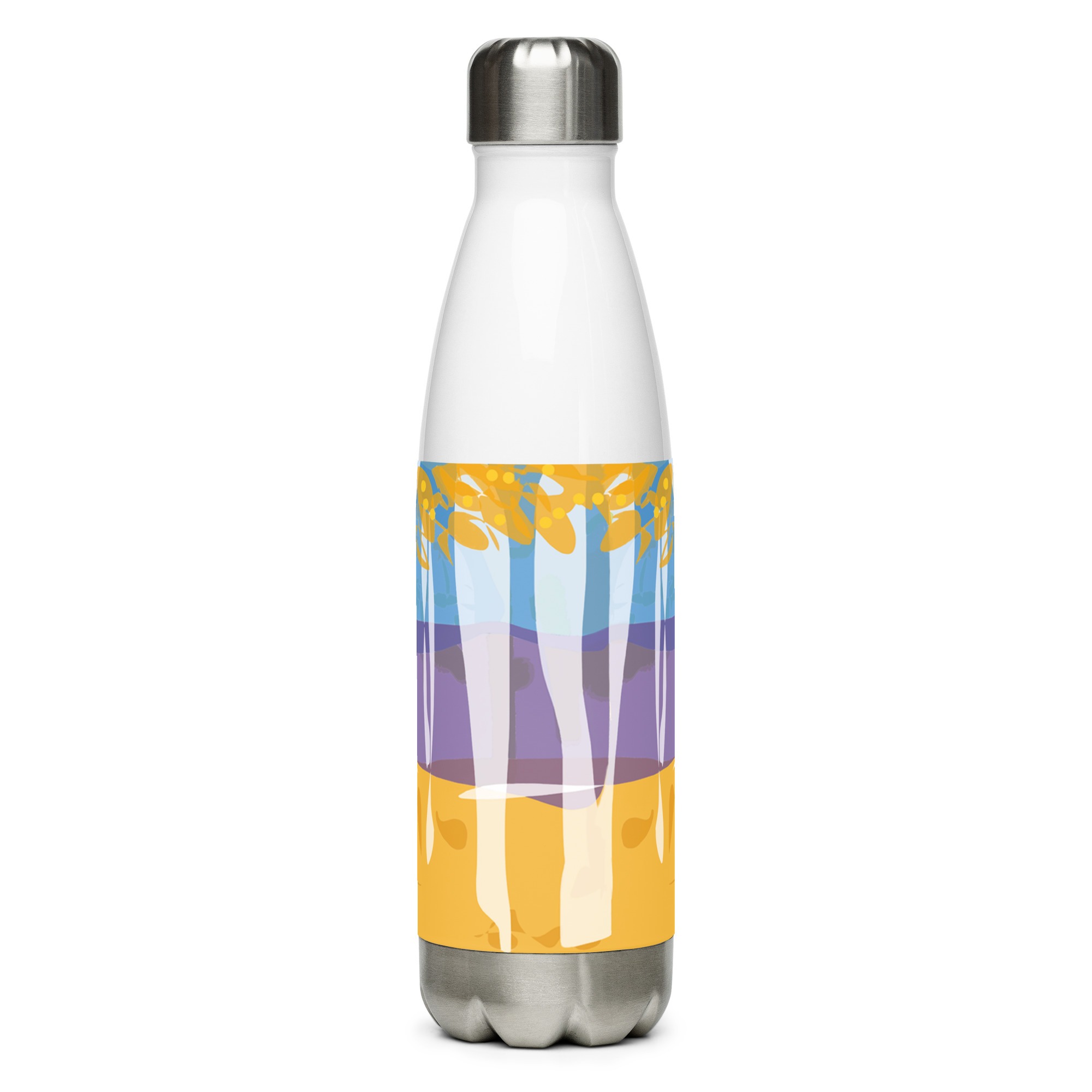 Stainless steel water bottle