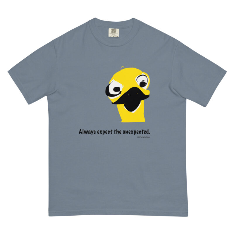 ALWAYS EXPECT THE UNEXPECTED - Unisex Garment-Dyed Heavyweight T-Shirt - Image 4
