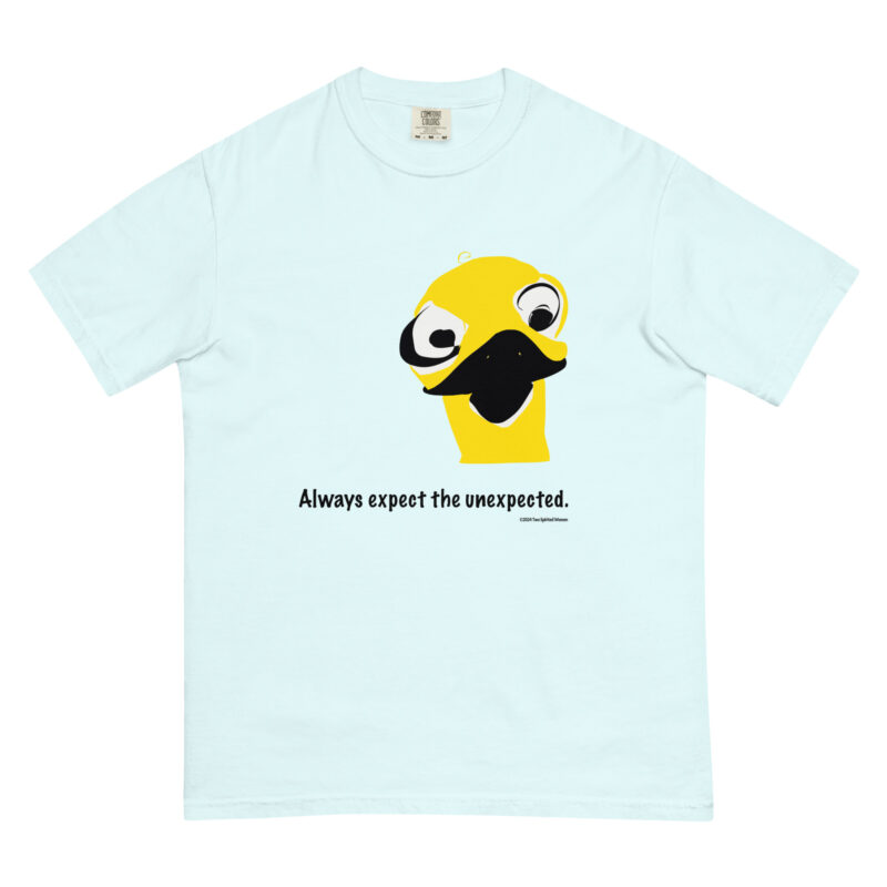 ALWAYS EXPECT THE UNEXPECTED - Unisex Garment-Dyed Heavyweight T-Shirt - Image 13