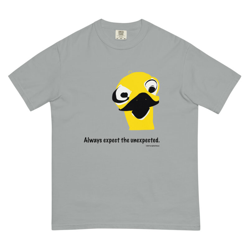 ALWAYS EXPECT THE UNEXPECTED - Unisex Garment-Dyed Heavyweight T-Shirt - Image 9