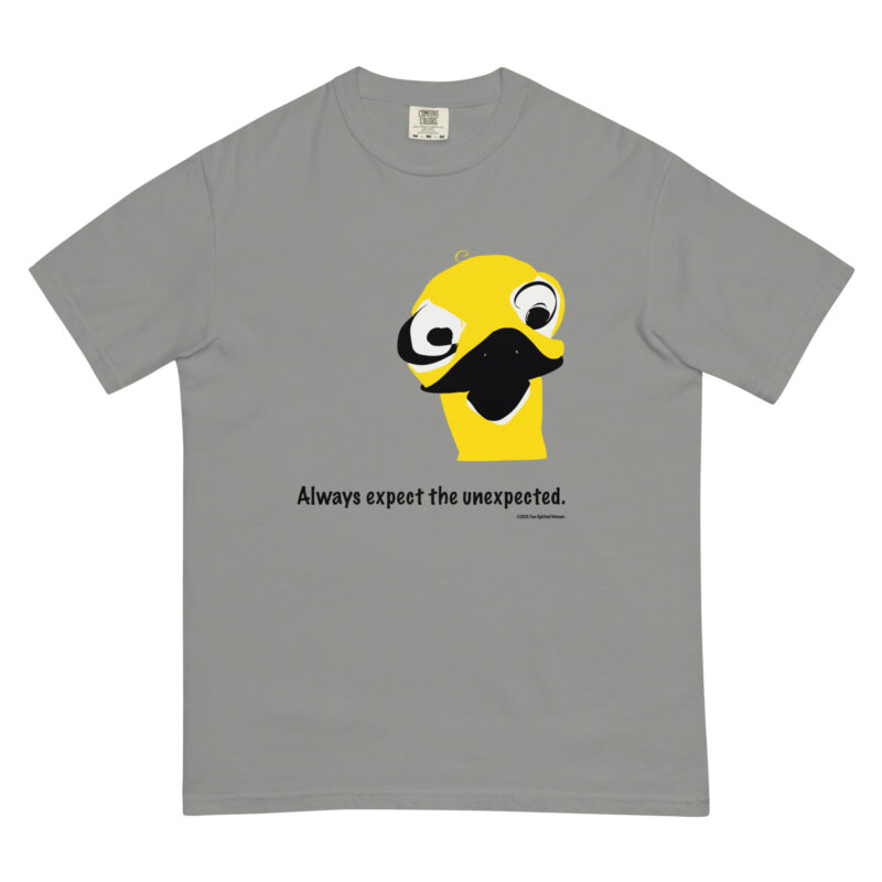 ALWAYS EXPECT THE UNEXPECTED - Unisex Garment-Dyed Heavyweight T-Shirt - Image 6