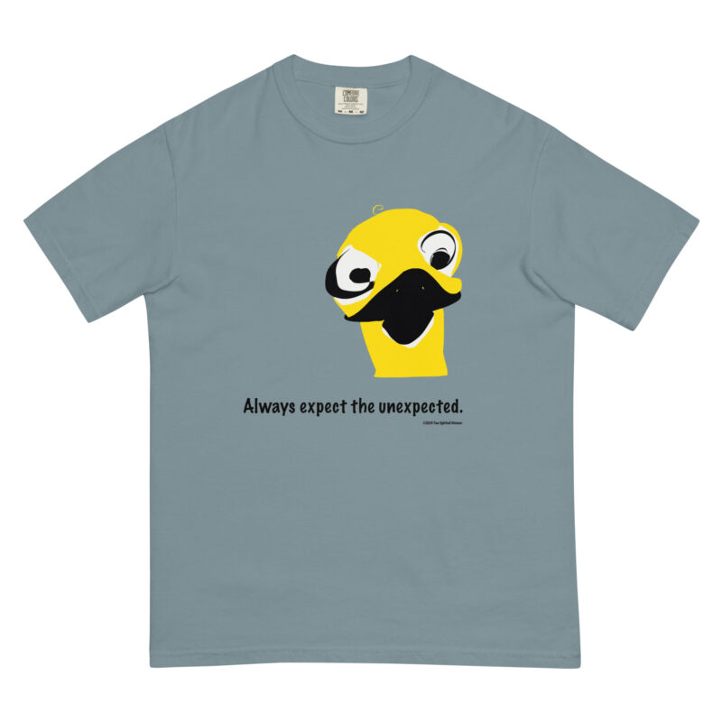 ALWAYS EXPECT THE UNEXPECTED - Unisex Garment-Dyed Heavyweight T-Shirt - Image 5