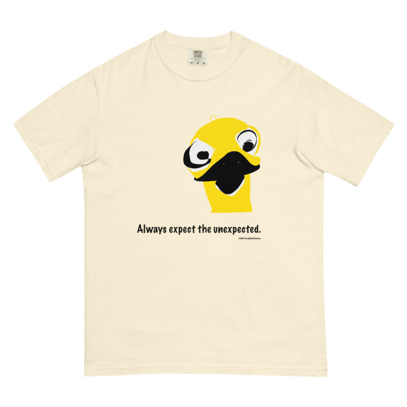 ALWAYS EXPECT THE UNEXPECTED - Unisex Garment-Dyed Heavyweight T-Shirt - Image 12