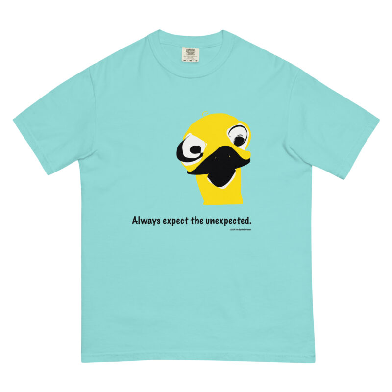 ALWAYS EXPECT THE UNEXPECTED - Unisex Garment-Dyed Heavyweight T-Shirt - Image 11