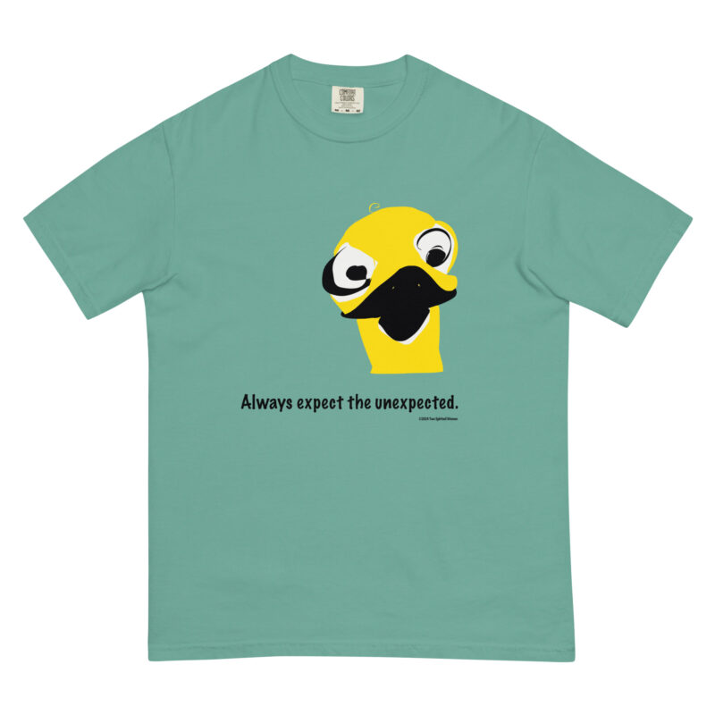 ALWAYS EXPECT THE UNEXPECTED - Unisex Garment-Dyed Heavyweight T-Shirt