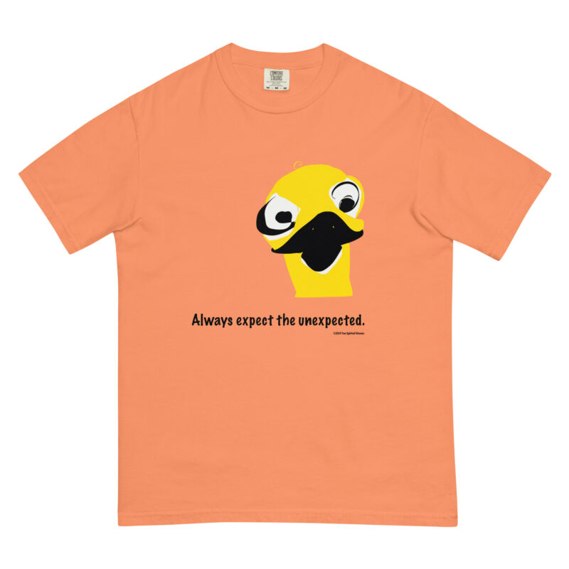 ALWAYS EXPECT THE UNEXPECTED - Unisex Garment-Dyed Heavyweight T-Shirt - Image 8