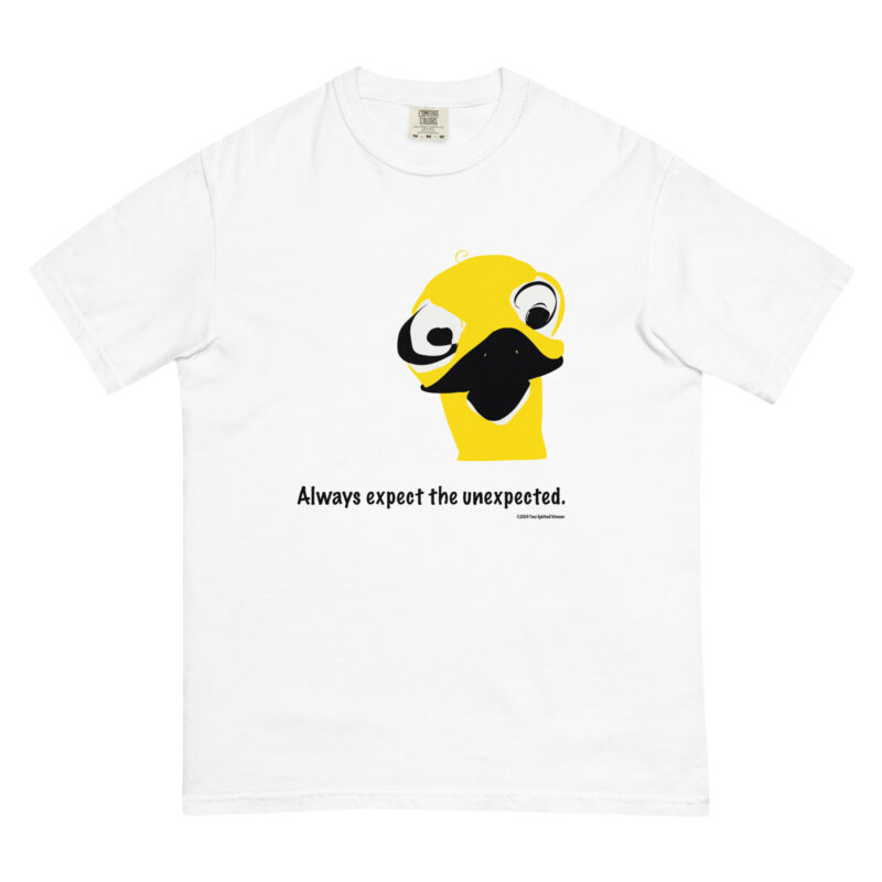 ALWAYS EXPECT THE UNEXPECTED - Unisex Garment-Dyed Heavyweight T-Shirt - Image 14